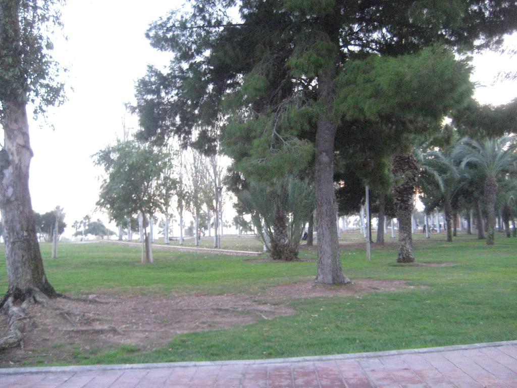 Apartamento Illa Mar Sant Carles De La Rapita Luaran gambar
